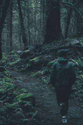 Best Jacket For Running In The Rain - running in the woods